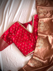 Goog Looking Fancy Saree With Designer Blouse