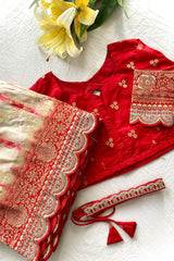 Goog Looking Fancy Saree With Designer Blouse
