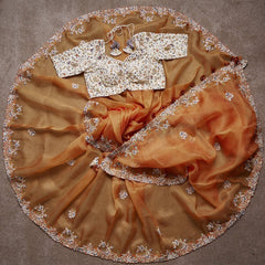 Goog Looking Fancy Saree With Designer Blouse