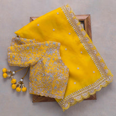 Goog Looking Fancy Saree With Designer Blouse