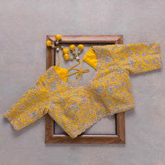 Goog Looking Fancy Saree With Designer Blouse