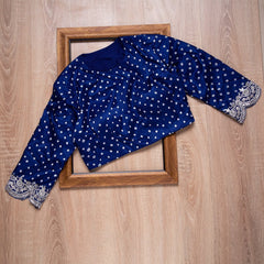 Blue & White Dual Shade Fancy Saree With Designer Blouse