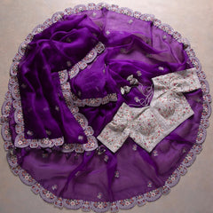 Goog Looking Fancy Saree With Designer Blouse